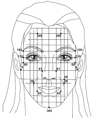 Иллюстрация к книге — Точки болезни и здоровья на вашем лице [autogen_ebook_id44.jpg]