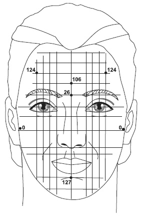 Иллюстрация к книге — Точки болезни и здоровья на вашем лице [autogen_ebook_id45.jpg]
