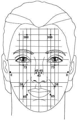 Иллюстрация к книге — Точки болезни и здоровья на вашем лице [autogen_ebook_id55.jpg]