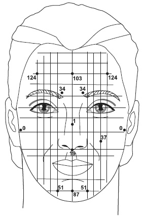Иллюстрация к книге — Точки болезни и здоровья на вашем лице [autogen_ebook_id56.jpg]