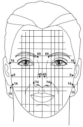 Иллюстрация к книге — Точки болезни и здоровья на вашем лице [autogen_ebook_id58.jpg]