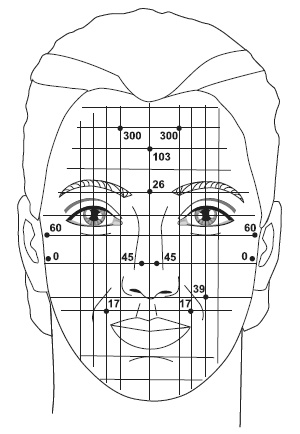 Иллюстрация к книге — Точки болезни и здоровья на вашем лице [autogen_ebook_id68.jpg]