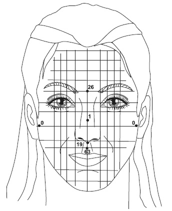 Иллюстрация к книге — Точки болезни и здоровья на вашем лице [autogen_ebook_id69.jpg]