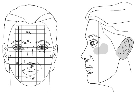 Иллюстрация к книге — Точки болезни и здоровья на вашем лице [autogen_ebook_id71.jpg]