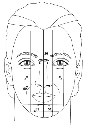Иллюстрация к книге — Точки болезни и здоровья на вашем лице [autogen_ebook_id77.jpg]