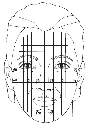 Иллюстрация к книге — Точки болезни и здоровья на вашем лице [autogen_ebook_id81.jpg]