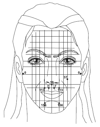 Иллюстрация к книге — Точки болезни и здоровья на вашем лице [autogen_ebook_id83.jpg]