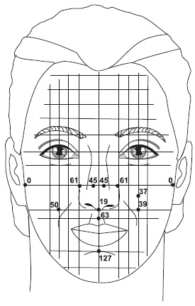 Иллюстрация к книге — Точки болезни и здоровья на вашем лице [autogen_ebook_id9.jpg]