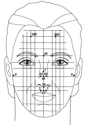 Иллюстрация к книге — Точки болезни и здоровья на вашем лице [autogen_ebook_id91.jpg]