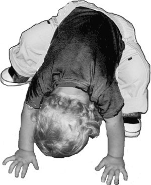 Иллюстрация к книге — Качая колыбель, или Профессия "родитель". Любовь, воспитание, этапы развития [i_007.jpg]