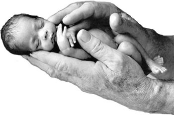 Иллюстрация к книге — Качая колыбель, или Профессия "родитель". Любовь, воспитание, этапы развития [i_009.jpg]