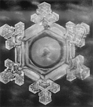 Иллюстрация к книге — Качая колыбель, или Профессия "родитель". Любовь, воспитание, этапы развития [i_012.jpg]