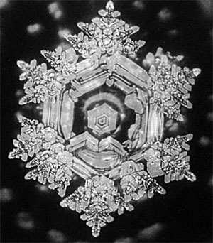 Иллюстрация к книге — Качая колыбель, или Профессия "родитель". Любовь, воспитание, этапы развития [i_013.jpg]