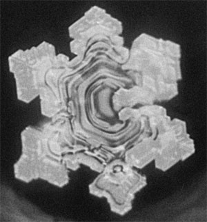 Иллюстрация к книге — Качая колыбель, или Профессия "родитель". Любовь, воспитание, этапы развития [i_014.jpg]