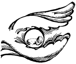 Иллюстрация к книге — Качая колыбель, или Профессия "родитель". Любовь, воспитание, этапы развития [i_018.jpg]