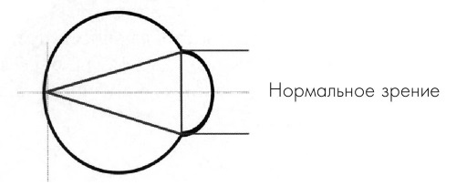 Иллюстрация к книге — Как учиться и не испортить зрение [i_015.jpg]