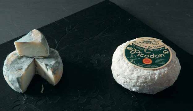 Иллюстрация к книге — Кулинарная энциклопедия. Том 28. П (Песто – Писту) [_49.jpg]