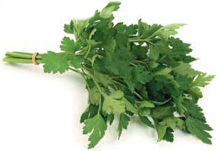 Иллюстрация к книге — Кулинарная энциклопедия. Том 28. П (Песто – Писту) [_7.jpg]