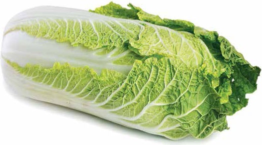 Иллюстрация к книге — Кулинарная энциклопедия. Том 27. П (Паштель – Пестик) [_16.jpg]