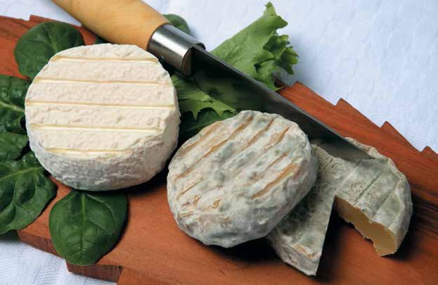 Иллюстрация к книге — Кулинарная энциклопедия. Том 27. П (Паштель – Пестик) [_27.jpg]