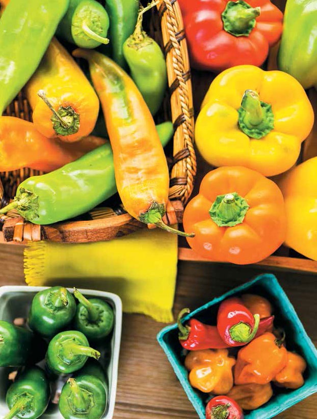 Иллюстрация к книге — Кулинарная энциклопедия. Том 27. П (Паштель – Пестик) [_61.jpg]