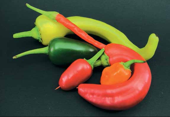 Иллюстрация к книге — Кулинарная энциклопедия. Том 27. П (Паштель – Пестик) [_62.jpg]