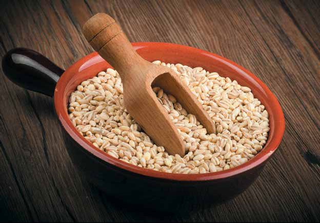 Иллюстрация к книге — Кулинарная энциклопедия. Том 27. П (Паштель – Пестик) [_67.jpg]