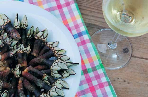 Иллюстрация к книге — Кулинарная энциклопедия. Том 27. П (Паштель – Пестик) [_75.jpg]