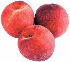 Иллюстрация к книге — Кулинарная энциклопедия. Том 27. П (Паштель – Пестик) [_76.jpg]