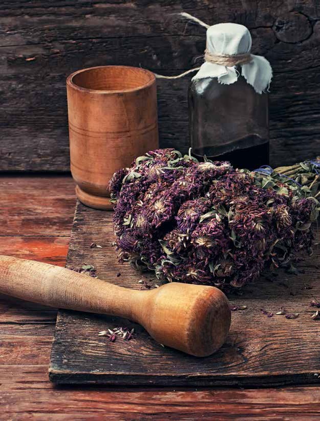 Иллюстрация к книге — Кулинарная энциклопедия. Том 27. П (Паштель – Пестик) [_88.jpg]