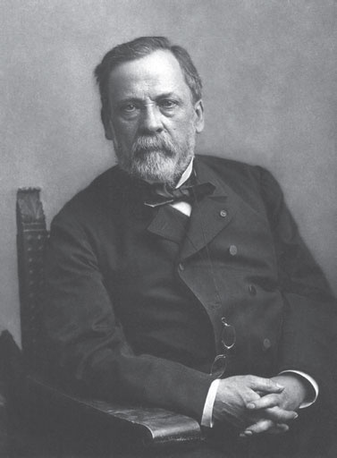 Иллюстрация к книге — Кулинарная энциклопедия. Том 26. П (Панфорте – Пашотница) [_50.jpg]