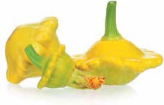 Иллюстрация к книге — Кулинарная энциклопедия. Том 26. П (Панфорте – Пашотница) [_75.jpg]