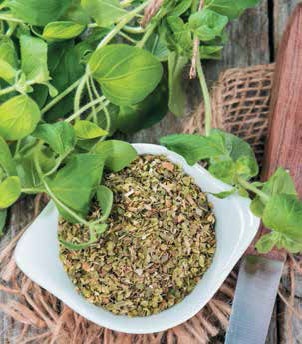 Иллюстрация к книге — Кулинарная энциклопедия. Том 25. О-П (Опресноки – Пантумака) [_2.jpg]