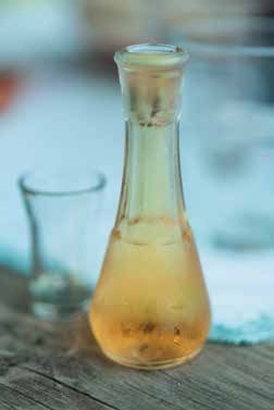 Иллюстрация к книге — Кулинарная энциклопедия. Том 25. О-П (Опресноки – Пантумака) [_62.jpg]