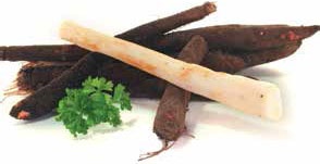 Иллюстрация к книге — Кулинарная энциклопедия. Том 24. О (Облепиха – Опёнок) [_25.jpg]