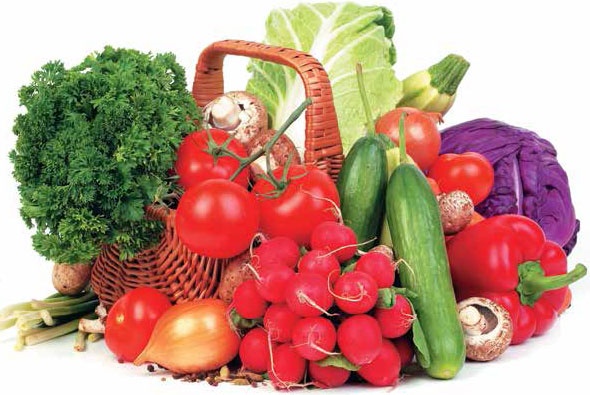 Иллюстрация к книге — Кулинарная энциклопедия. Том 24. О (Облепиха – Опёнок) [_31.jpg]