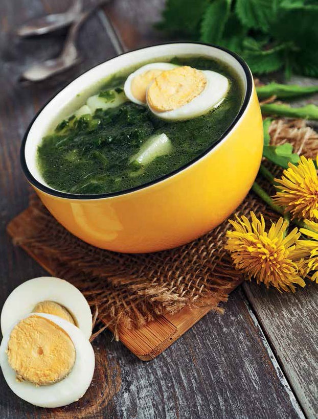 Иллюстрация к книге — Кулинарная энциклопедия. Том 24. О (Облепиха – Опёнок) [_48.jpg]