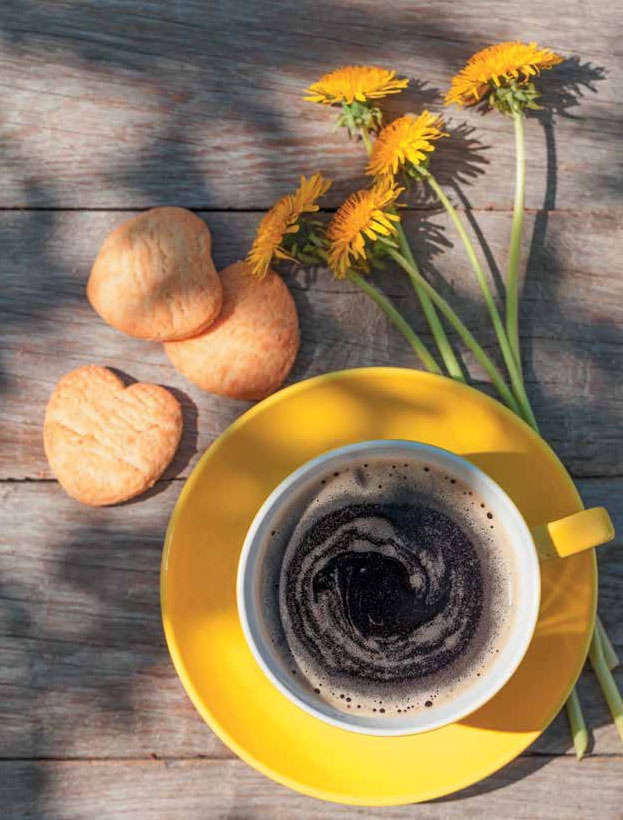 Иллюстрация к книге — Кулинарная энциклопедия. Том 24. О (Облепиха – Опёнок) [_49.jpg]