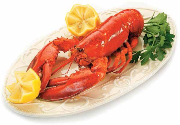 Иллюстрация к книге — Кулинарная энциклопедия. Том 24. О (Облепиха – Опёнок) [_83.jpg]