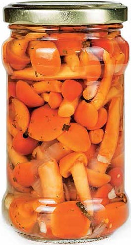 Иллюстрация к книге — Кулинарная энциклопедия. Том 24. О (Облепиха – Опёнок) [_94.jpg]