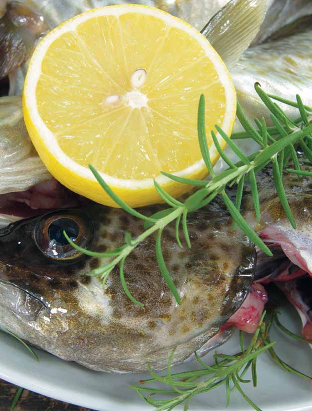 Иллюстрация к книге — Кулинарная энциклопедия. Том 23. Н-О (Налим – Облатка) [_2.jpg]