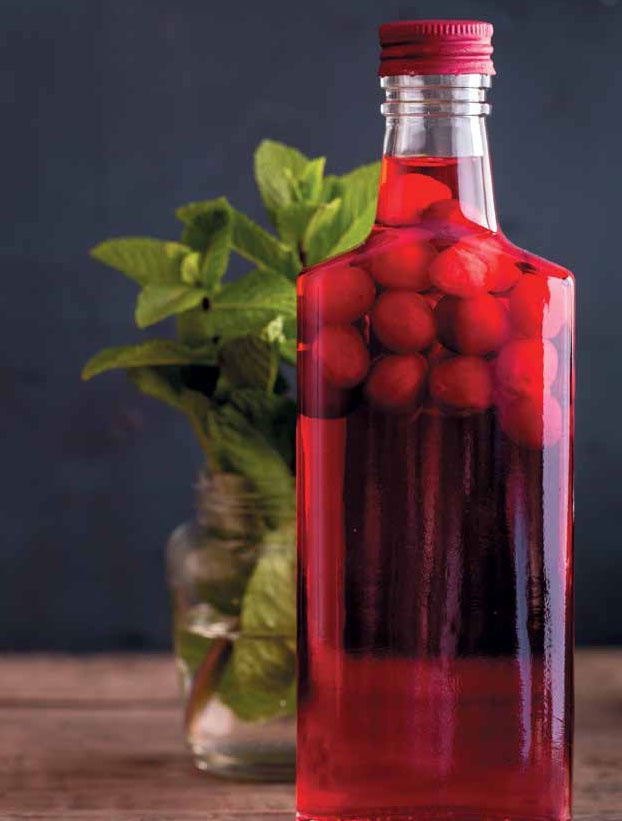 Иллюстрация к книге — Кулинарная энциклопедия. Том 23. Н-О (Налим – Облатка) [_20.jpg]