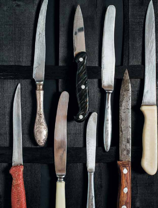 Иллюстрация к книге — Кулинарная энциклопедия. Том 23. Н-О (Налим – Облатка) [_72.jpg]