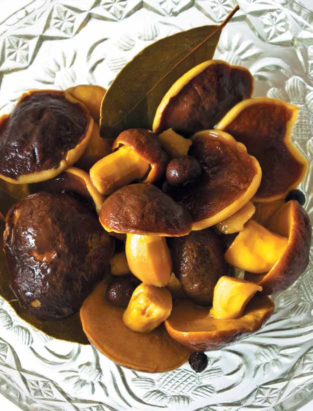 Иллюстрация к книге — Кулинарная энциклопедия. Том 22. М-Н (Мостарда – Наливка) [_7.jpg]