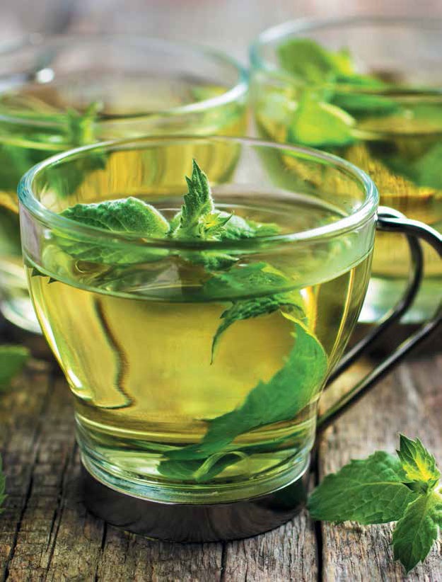 Иллюстрация к книге — Кулинарная энциклопедия. Том 22. М-Н (Мостарда – Наливка) [_72.jpg]