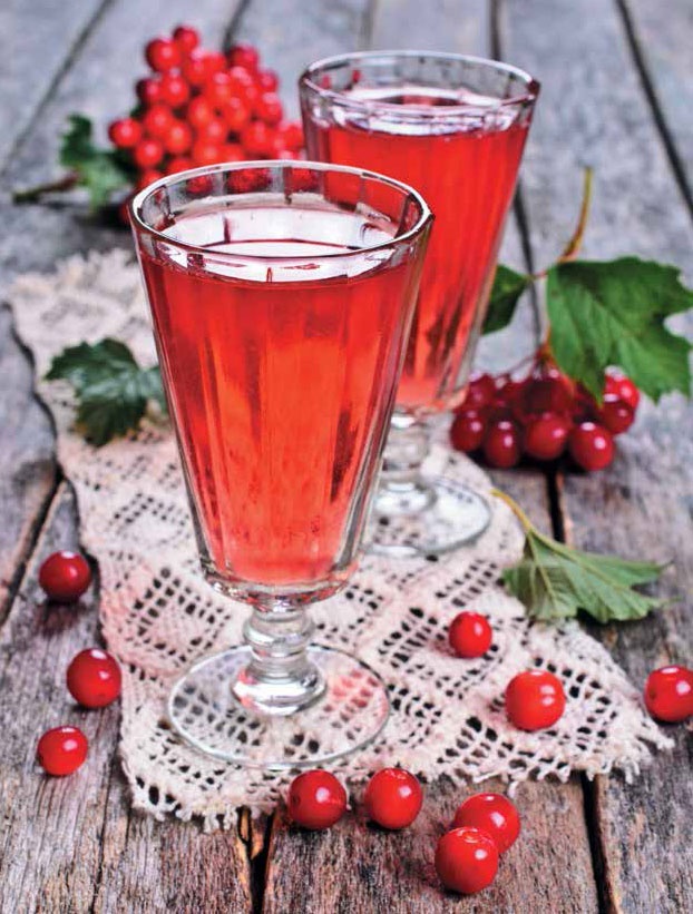 Иллюстрация к книге — Кулинарная энциклопедия. Том 22. М-Н (Мостарда – Наливка) [_93.jpg]