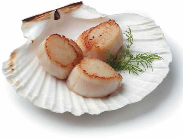 Иллюстрация к книге — Кулинарная энциклопедия. Том 21. М (Минеральная вода – Морской язык) [_81.jpg]