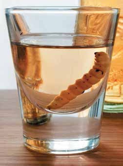 Иллюстрация к книге — Кулинарная энциклопедия. Том 20. М (Масурдал – Миндальное молоко) [_61.jpg]