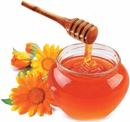 Иллюстрация к книге — Кулинарная энциклопедия. Том 20. М (Масурдал – Миндальное молоко) [_68.jpg]