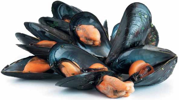 Иллюстрация к книге — Кулинарная энциклопедия. Том 20. М (Масурдал – Миндальное молоко) [_75.jpg]